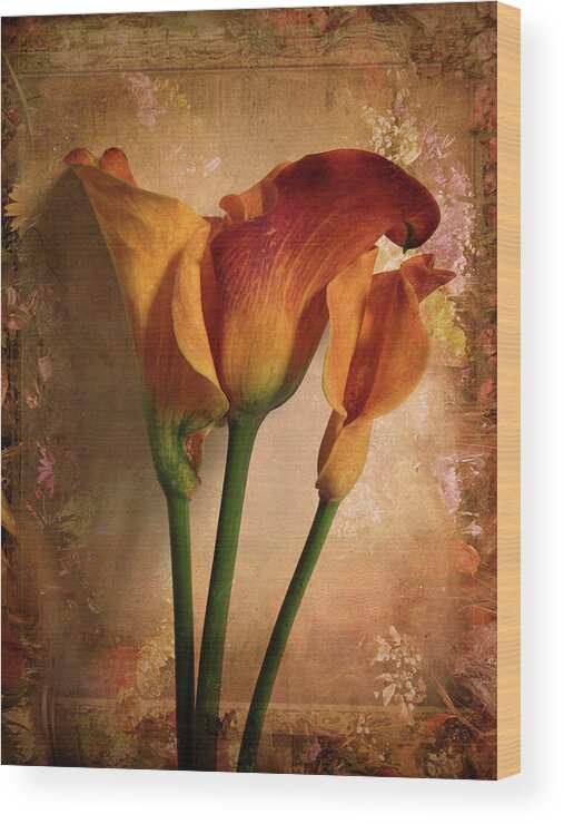 Flower Wood Print featuring the photograph Vintage Calla Lily by Jessica Jenney