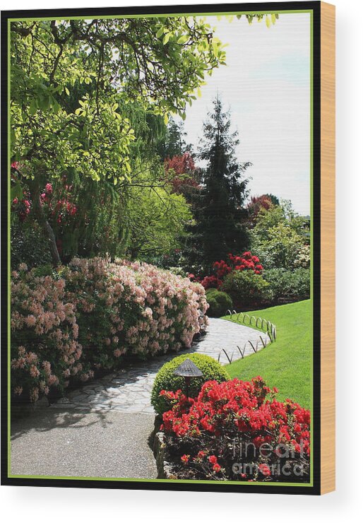 Spring Wood Print featuring the photograph Walk through Spring Garden by Carol Groenen