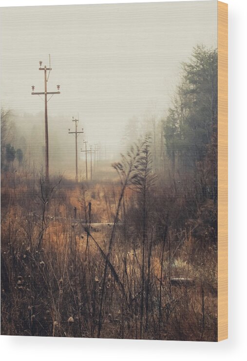 Nature Wood Print featuring the photograph Walking the Lines by Jessica Brawley