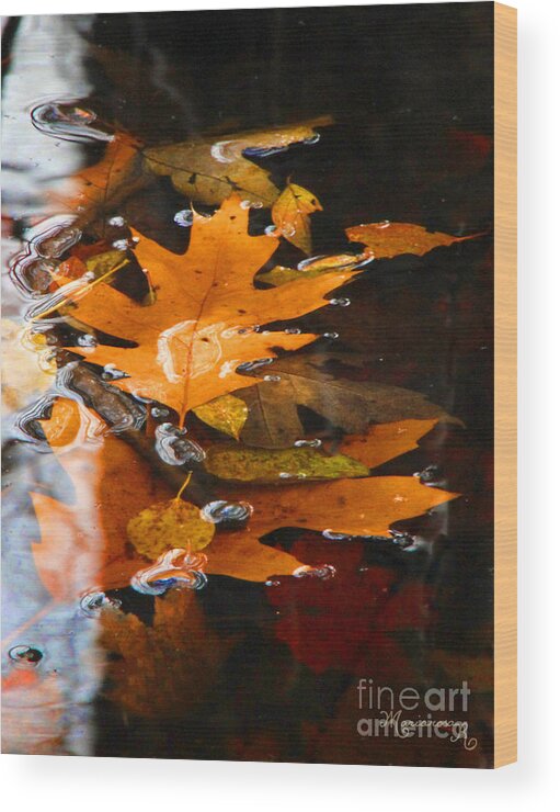 Fall Wood Print featuring the photograph Water Bubbles by Mariarosa Rockefeller