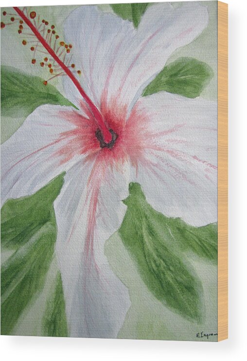 Floral Wood Print featuring the painting White Hibiscus Flower by Elvira Ingram
