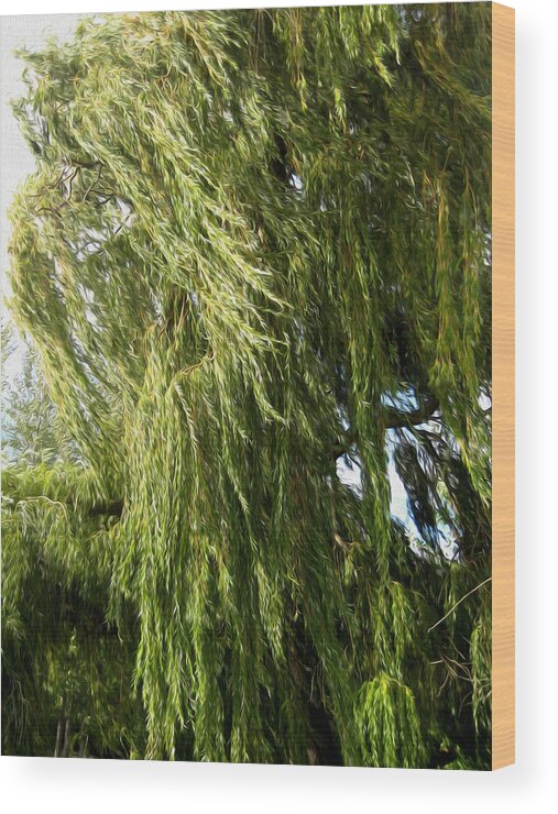 Wind Wood Print featuring the photograph Wind In The Willow by Kathy Bassett