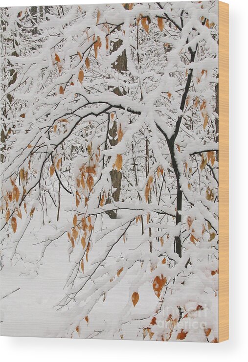 Winter Wood Print featuring the photograph Winter Branches by Ann Horn