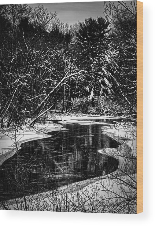 Winter Setting Wood Print featuring the photograph Winter Solitude by Thomas Young