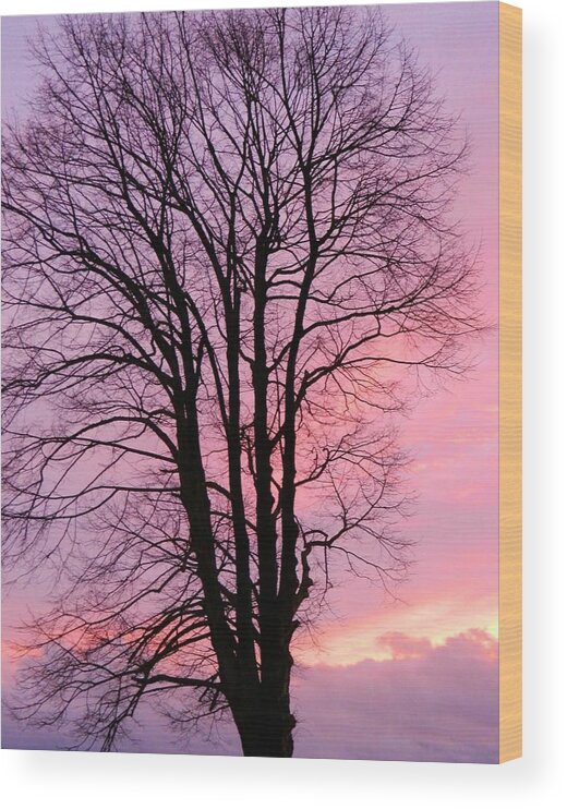 Sunset Wood Print featuring the photograph Winter Sunset by Gallery Of Hope 