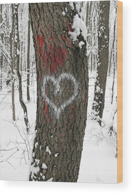 Heart Wood Print featuring the photograph Winter Woods Romance by Ann Horn