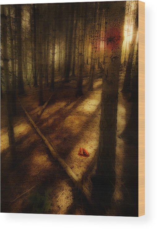 Woods Wood Print featuring the photograph Woods With Pine Cones by Meirion Matthias