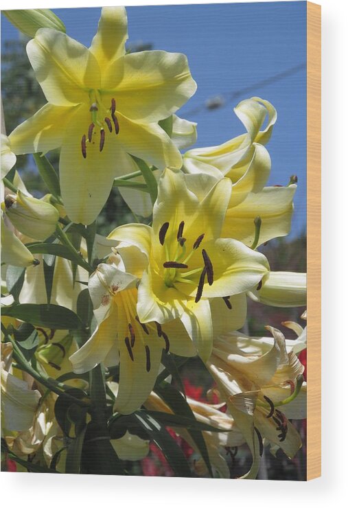 Yellow Lilies Wood Print featuring the photograph Yellow Lilies Of The Season by Alfred Ng