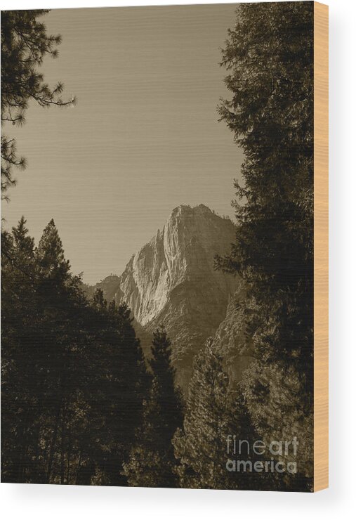 Yosemite National Park Wood Print featuring the photograph Yosemite Park sepia by Mini Arora