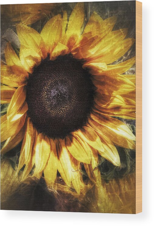 Sunflower Wood Print featuring the photograph You Make Me Happy When Skies are Gray by Patricia Januszkiewicz