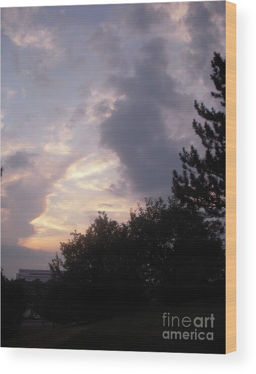 Clouds Wood Print featuring the photograph Twilight Sparkle by Vesna Antic