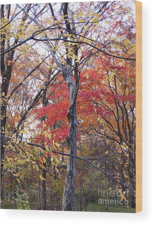 Red Wood Print featuring the photograph Autumn #2 by Eena Bo