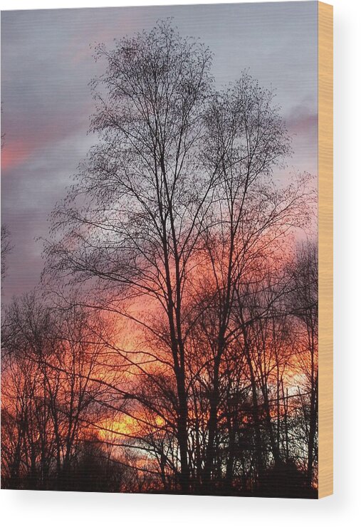 Sunset Wood Print featuring the photograph Adding Life To What Has Passed by Kim Galluzzo Wozniak