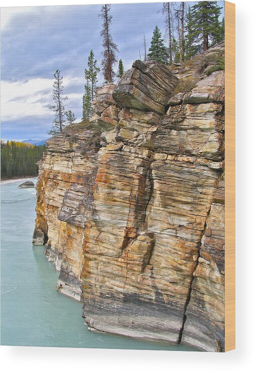 Landscape Wood Print featuring the photograph Athabasca River by Brian Sereda