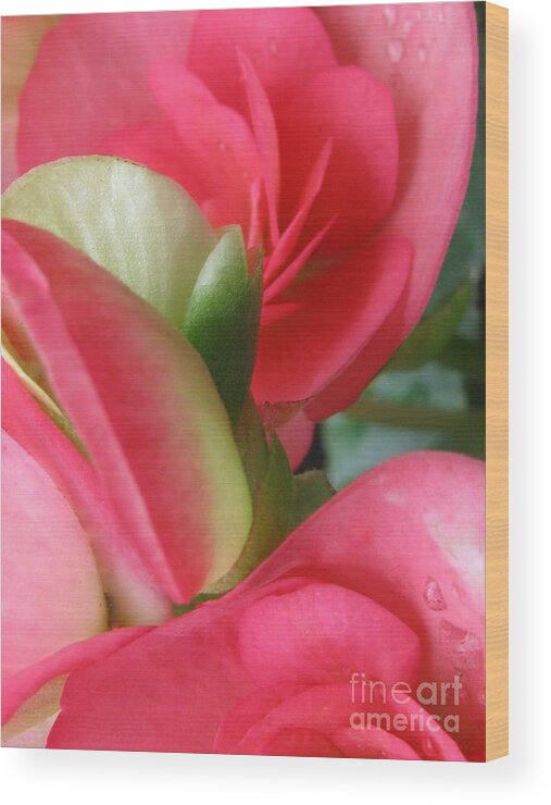 Flower Wood Print featuring the photograph Beautiful by Holy Hands