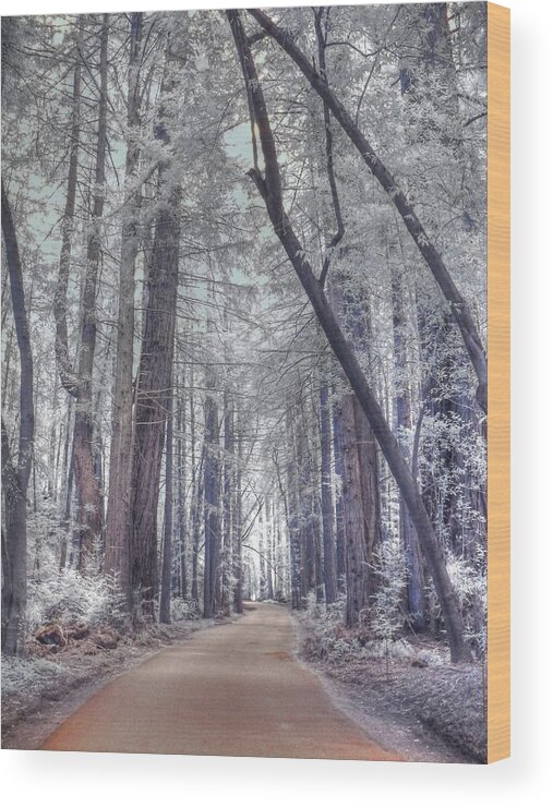 Big Sur Wood Print featuring the photograph Big Sur State Park by Jane Linders
