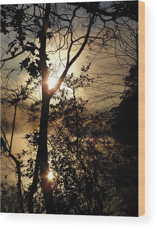 Fog Wood Print featuring the photograph Breaking Through The Fog by Kim Galluzzo