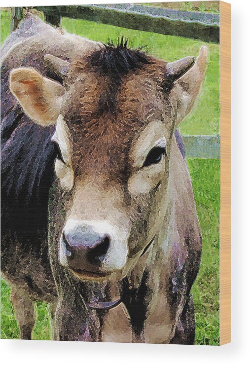 Rural Wood Print featuring the photograph Calf Closeup by Susan Savad