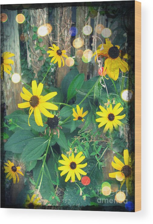 Daisy Wood Print featuring the photograph Dirty Susan by Laura Brightwood