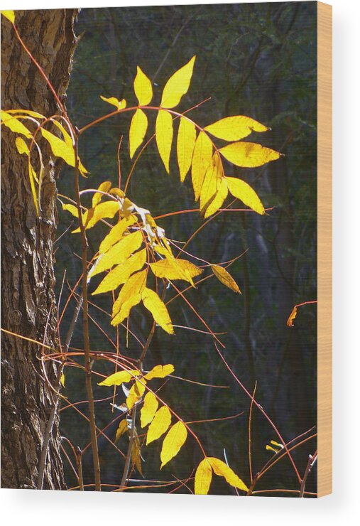 Leaves Wood Print featuring the photograph End of the Season by Sandy Tracey