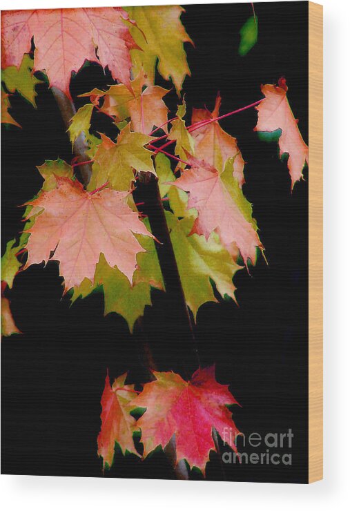 Leaf Wood Print featuring the photograph Fall Grandeur by Rory Siegel