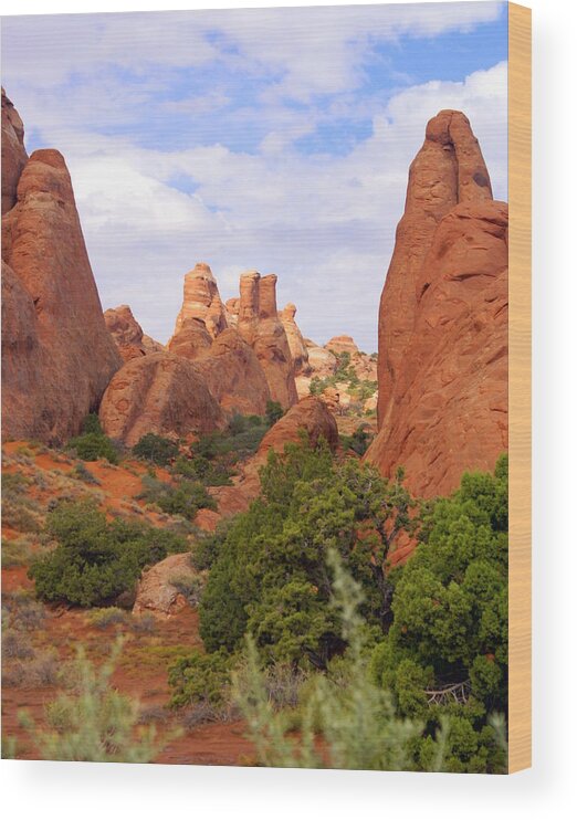 Arches National Park Wood Print featuring the photograph Fins by Marty Koch