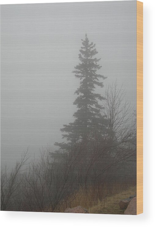 Maine Wood Print featuring the photograph Foggy Sentinel by Skip Willits