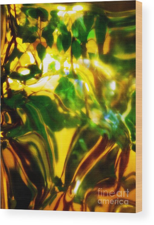 Abstract Wood Print featuring the photograph Garden Groovy by Anjanette Douglas