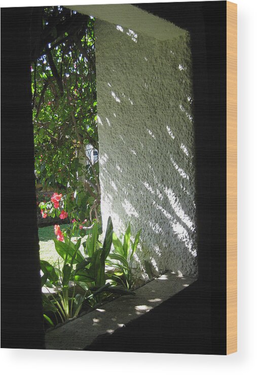 Light And Shadow On White Stucco Wall Wood Print featuring the photograph Garden Window by Sarah Hornsby