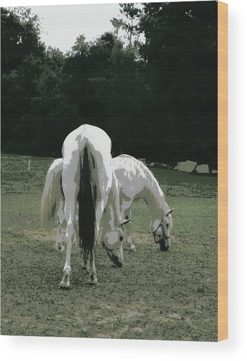 Horses Wood Print featuring the photograph Grazing Friendship by Kim Galluzzo