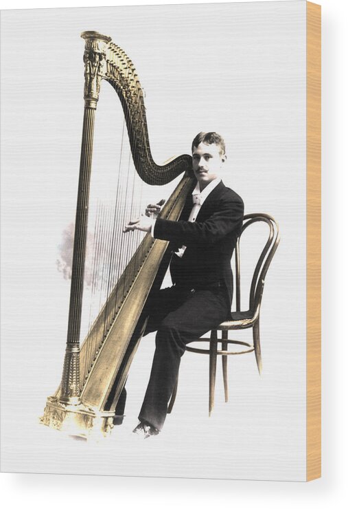 Harpist Wood Print featuring the photograph Harp Player by Andrew Fare