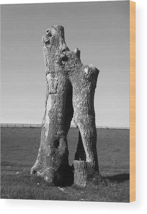 Tree Wood Print featuring the photograph Hollow Trunk by Michael Standen Smith