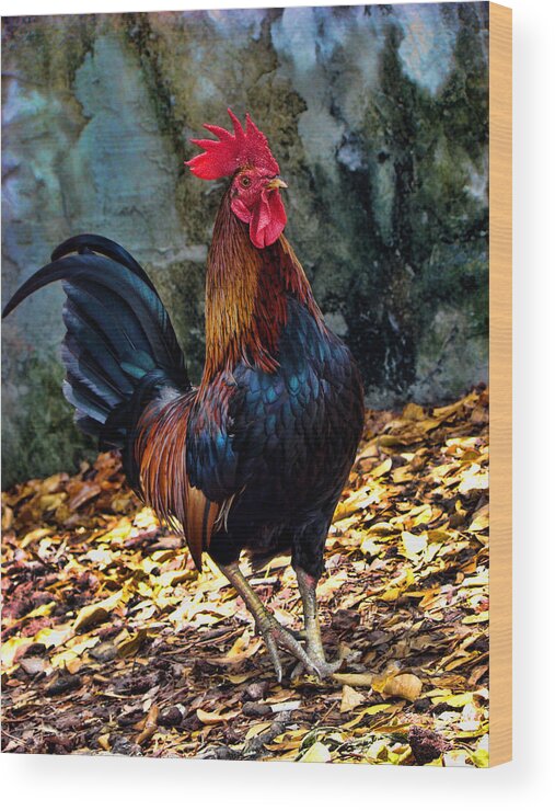 Rooster Wood Print featuring the photograph Key West Strut by Joetta West