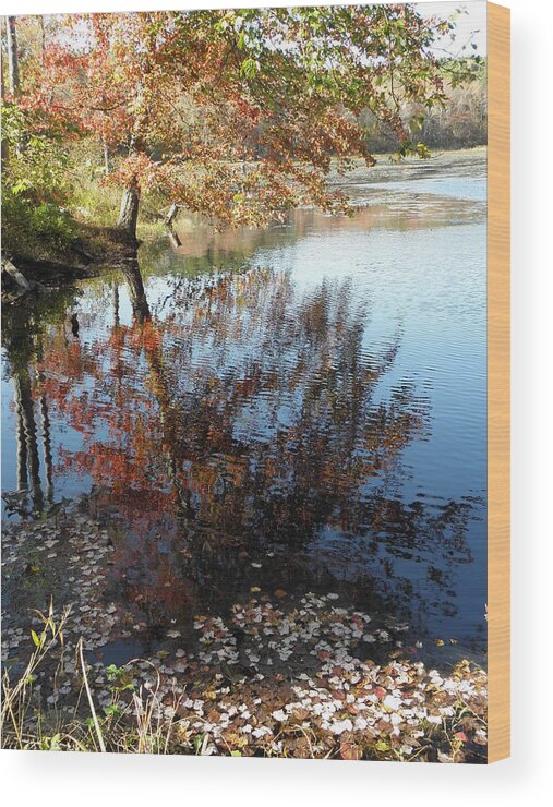 Leaves Wood Print featuring the photograph Leaves Of Reflections by Kim Galluzzo Wozniak
