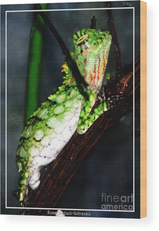 Lizard Wood Print featuring the photograph Lizard with Oil Painting Effect by Rose Santuci-Sofranko