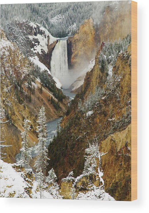 Yellowstone Wood Print featuring the photograph Lower Falls by Steve Stuller