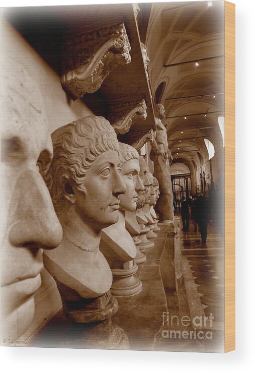 Sculpture Wood Print featuring the photograph Marble Busts. Vatican by Tatyana Searcy