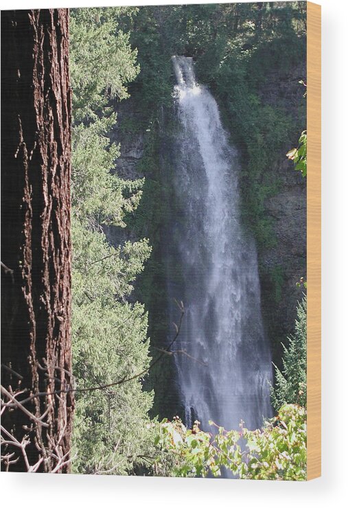  Wood Print featuring the photograph Mill Creek Falls by William McCoy