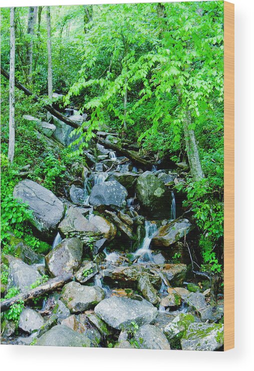 Mountain Wood Print featuring the photograph Mountain Stream by Cat Rondeau