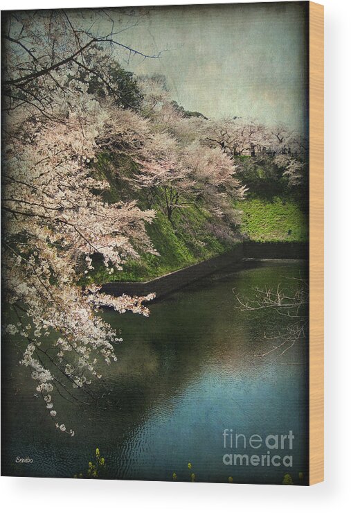 Sakura Wood Print featuring the photograph My Spring by Eena Bo