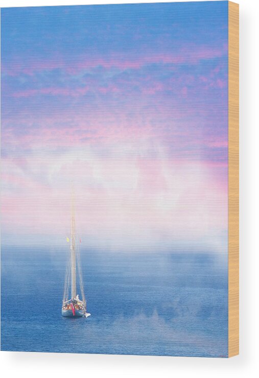 Turkey Sea Of Marmara Wood Print featuring the photograph On the sea of Marmara by SM Shahrokni
