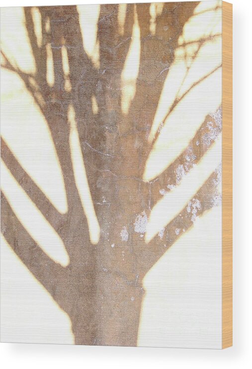Trees Wood Print featuring the photograph Once Upon A Tree by Mark Holbrook