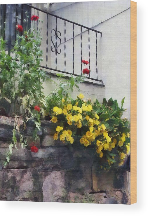 Geranium Wood Print featuring the photograph Planter With Yellow Flowering Cactus by Susan Savad
