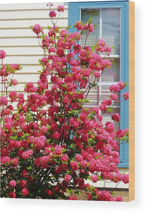 Flowers Wood Print featuring the photograph Roadside Beauty in NY by Jeanette Oberholtzer