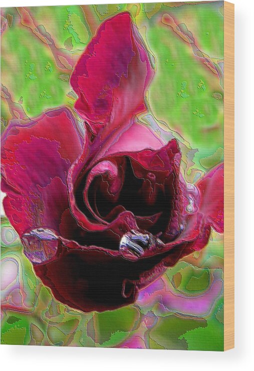 Spring Wood Print featuring the photograph Rose Contours by Lora Fisher