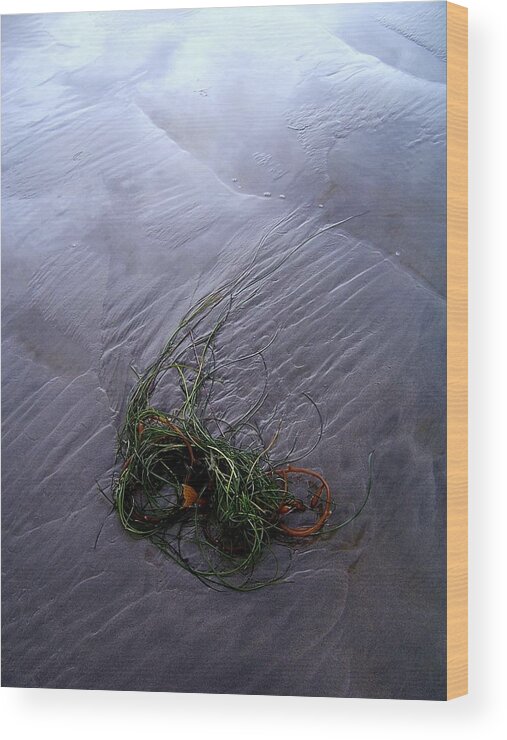 Beach Wood Print featuring the photograph Seaweed Delivery by Peter Mooyman