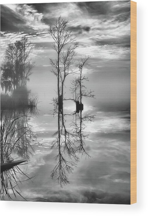 Cypress Reflections Wood Print featuring the photograph Serenity Tree by Mike Covington