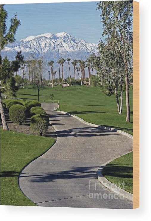 Palm Desert Wood Print featuring the photograph Snow Capped Mountains in the Desert by Phyllis Kaltenbach