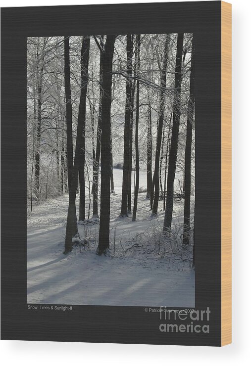 Landscape Wood Print featuring the photograph Snow Trees and Sunlight-II by Patricia Overmoyer