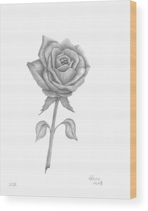 Rose Wood Print featuring the drawing Symbol of love by Patricia Hiltz